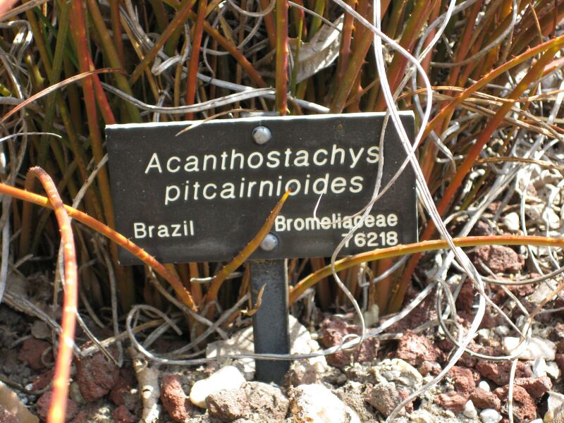 File:IMG 4270 hunt0904.jpg