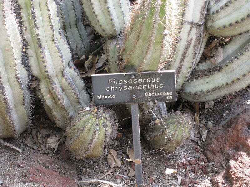 File:IMG 4273 hunt0904.jpg