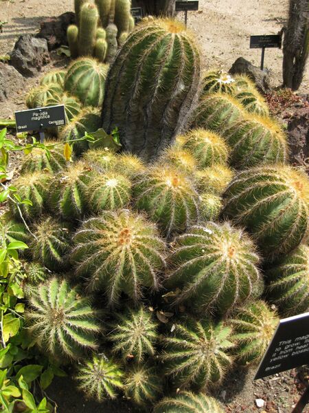 File:IMG 4274 hunt0904.jpg