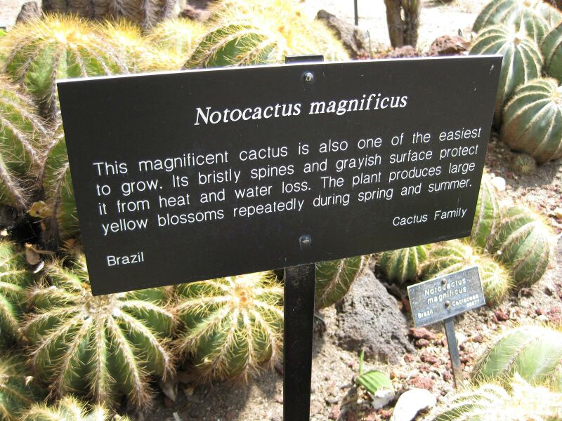 File:IMG 4275 hunt0904.jpg