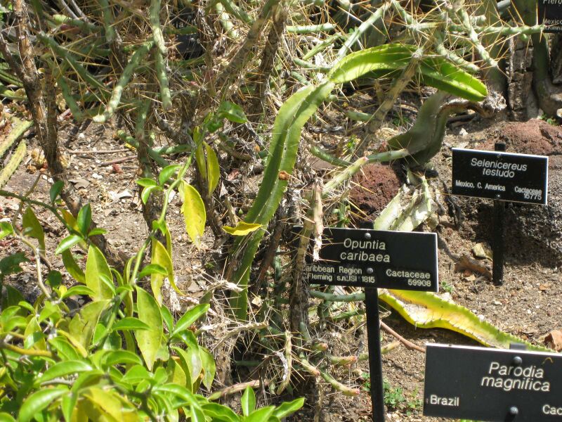 File:IMG 4277 hunt0904.jpg