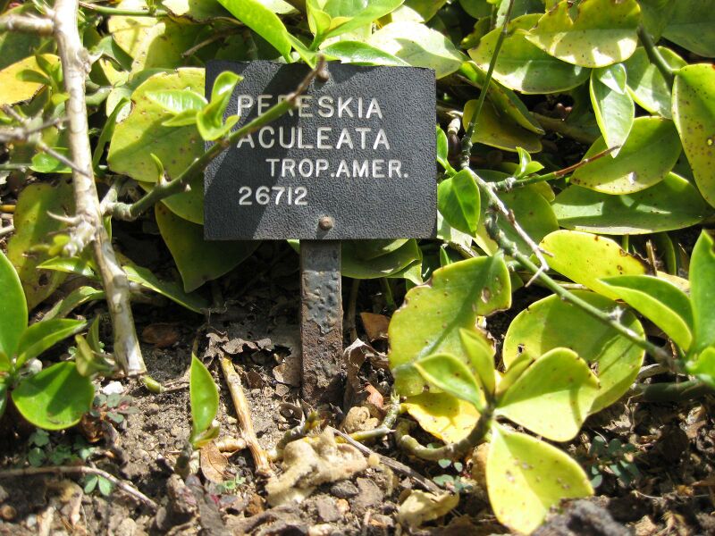 File:IMG 4279 hunt0904.jpg