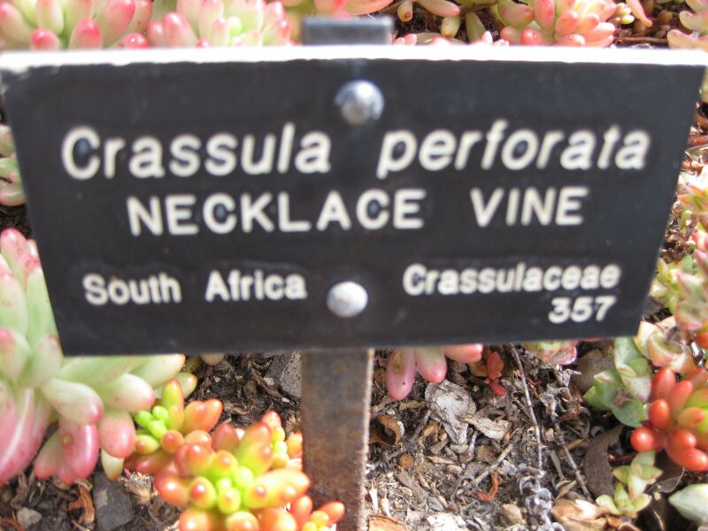 File:IMG 4282 hunt0904.jpg