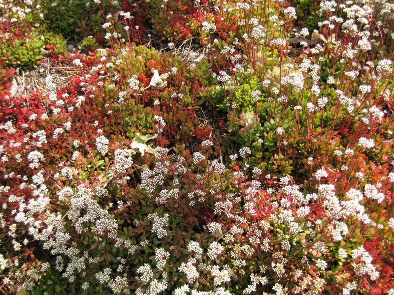 File:IMG 4283 hunt0904.jpg