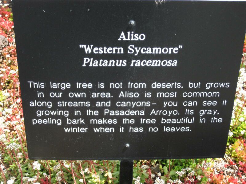 File:IMG 4287 hunt0904.jpg