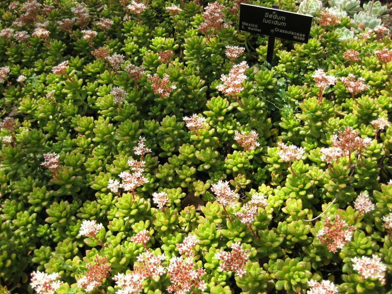 File:IMG 4289 hunt0904.jpg