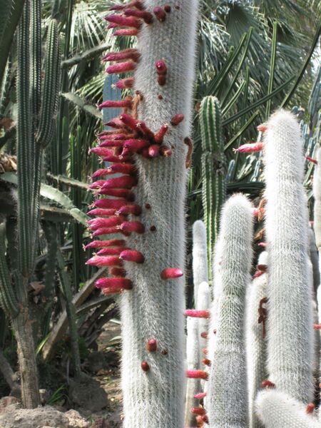 File:IMG 4291 hunt0904.jpg