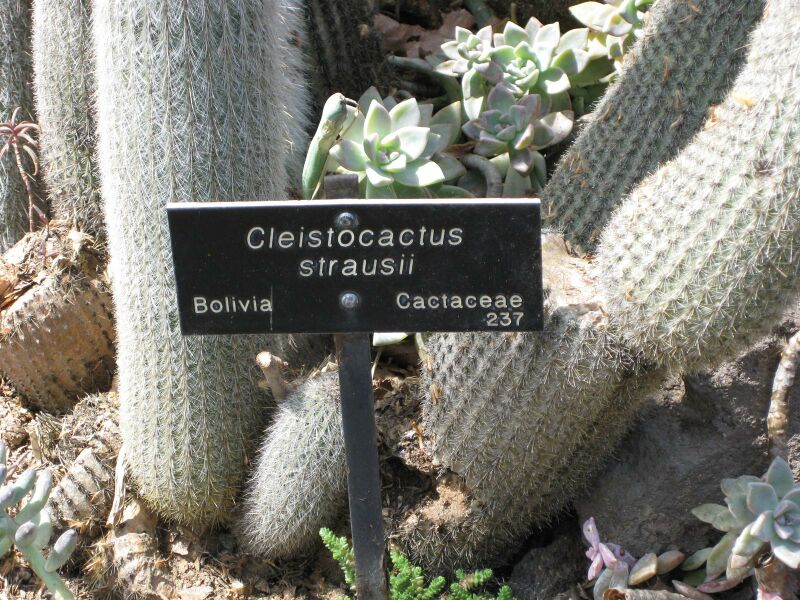 File:IMG 4292 hunt0904.jpg