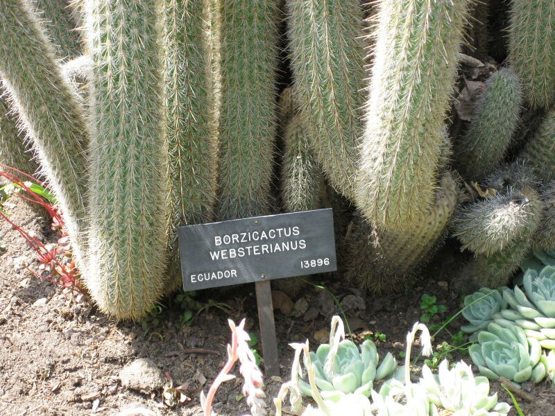 File:IMG 4295 hunt0904.jpg