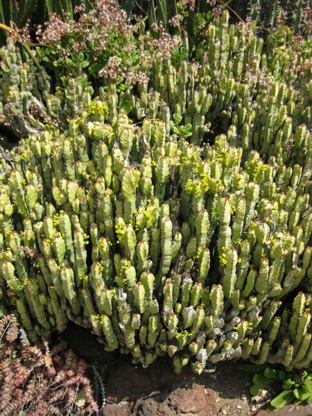 File:IMG 4298 hunt0904.jpg