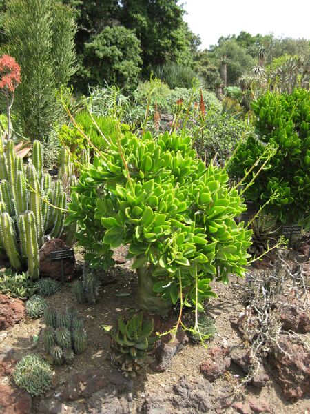 File:IMG 4303 hunt0904.jpg