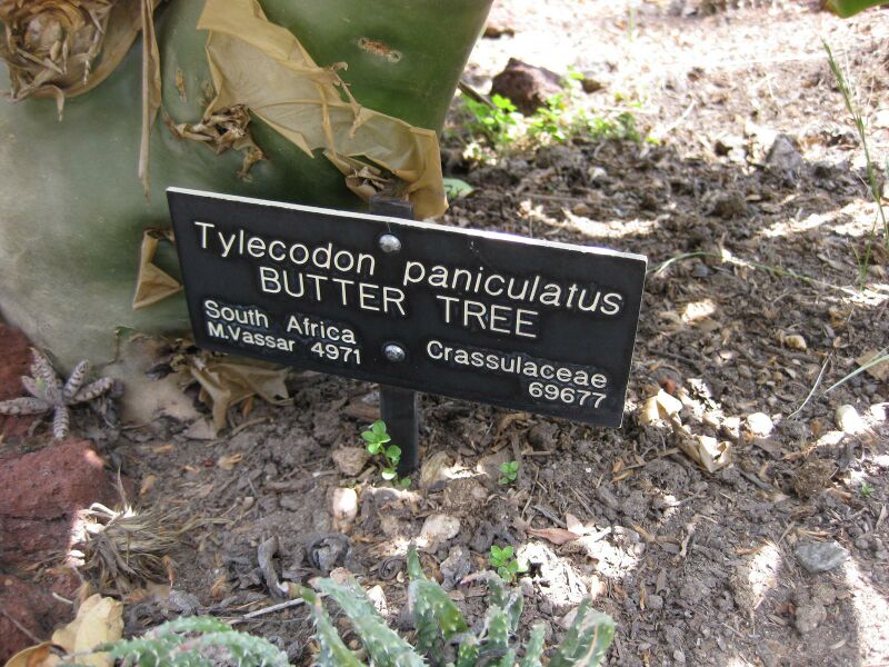 File:IMG 4305 hunt0904.jpg