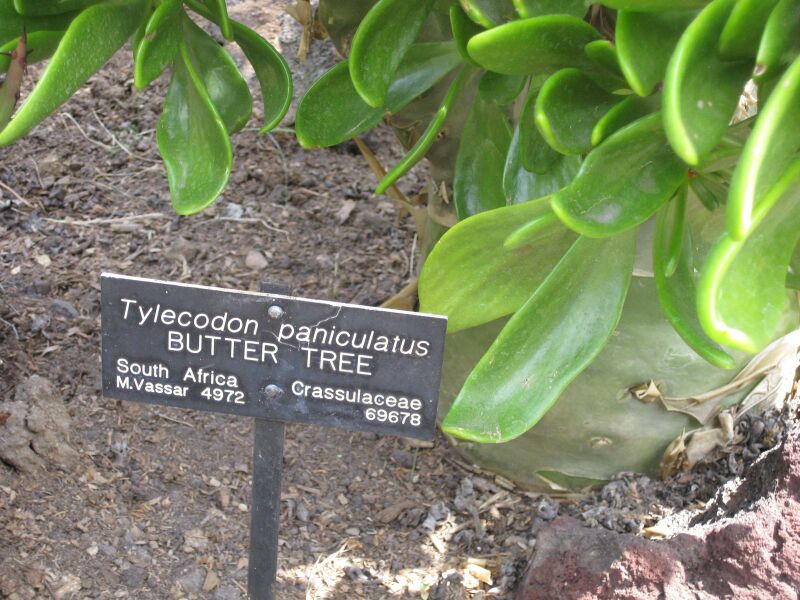 File:IMG 4309 hunt0904.jpg