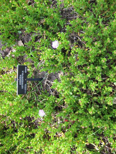 File:IMG 4315 hunt0904.jpg