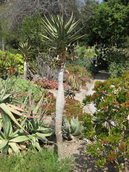 File:IMG 4320 hunt0904.jpg