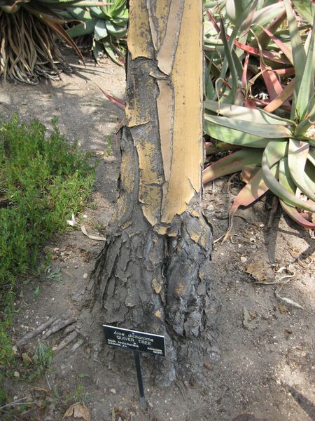 File:IMG 4322 hunt0904.jpg