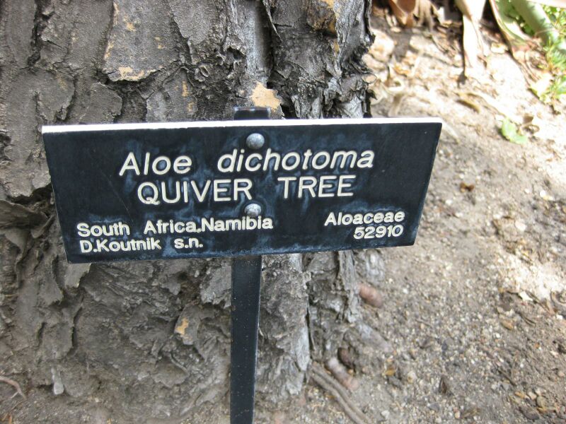 File:IMG 4323 hunt0904.jpg