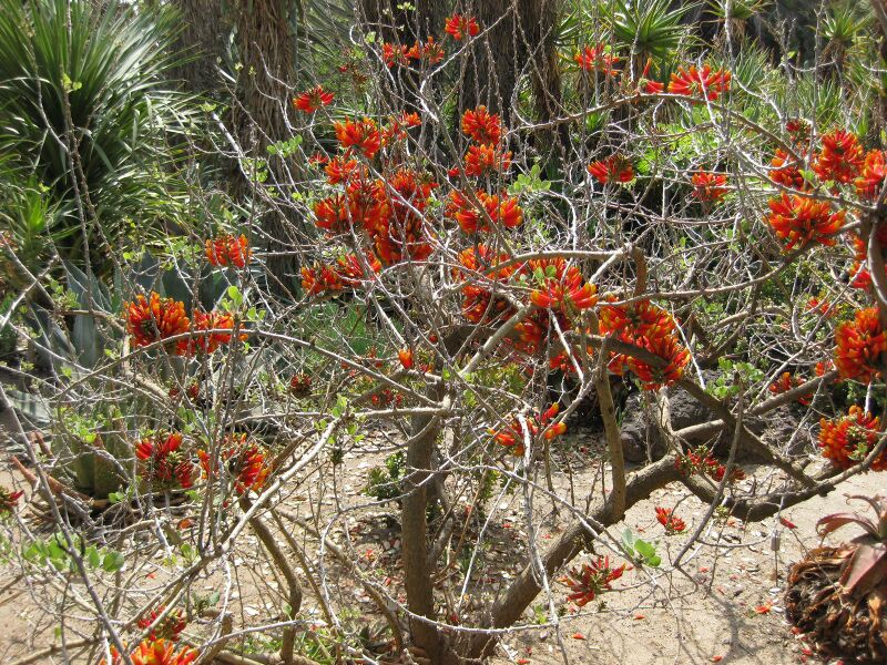 File:IMG 4326 hunt0904.jpg