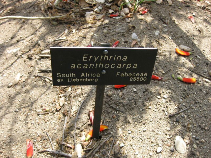 File:IMG 4332 hunt0904.jpg