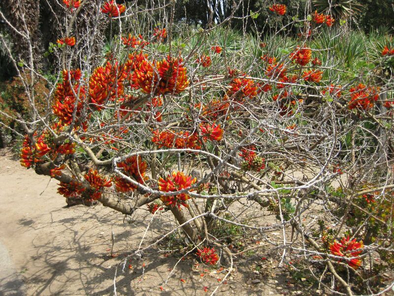 File:IMG 4333 hunt0904.jpg