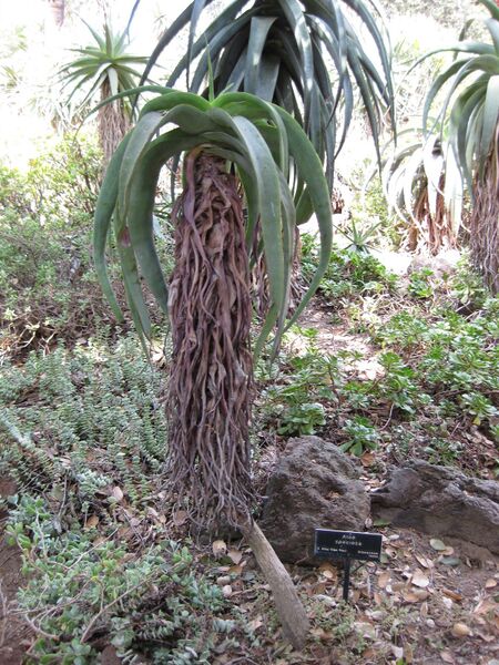 File:IMG 4334 hunt0904.jpg