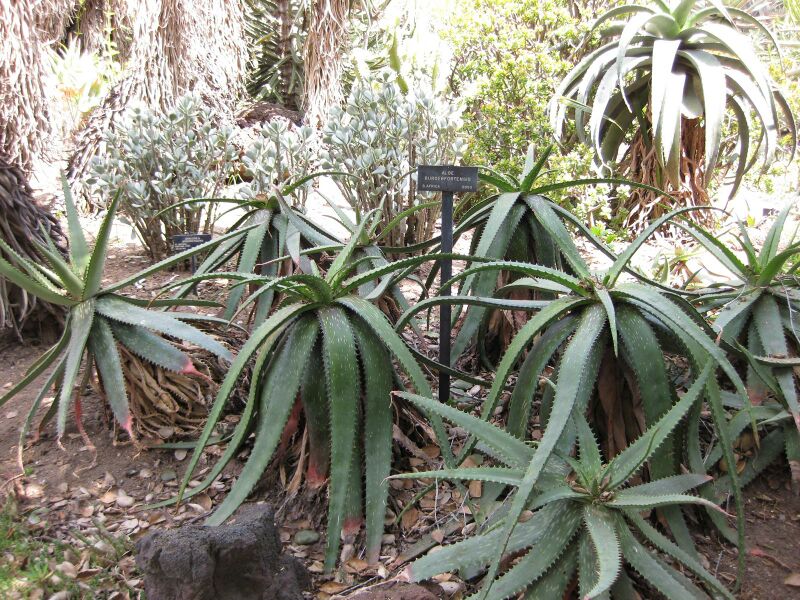 File:IMG 4337 hunt0904.jpg