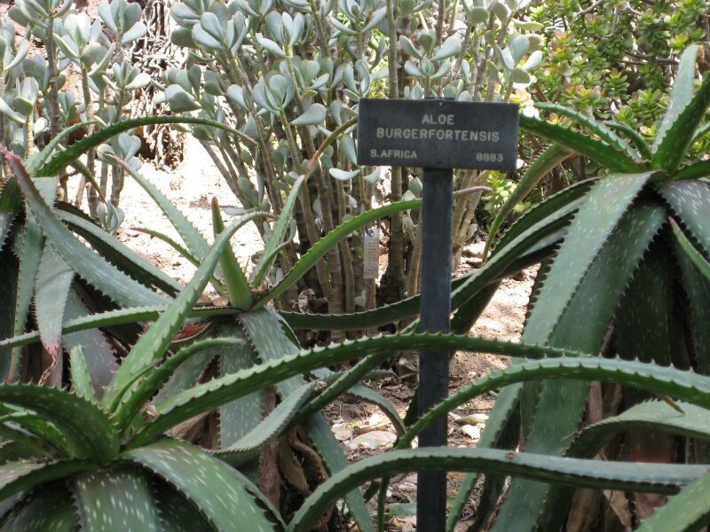 File:IMG 4338 hunt0904.jpg