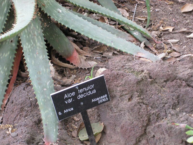 File:IMG 4339 hunt0904.jpg