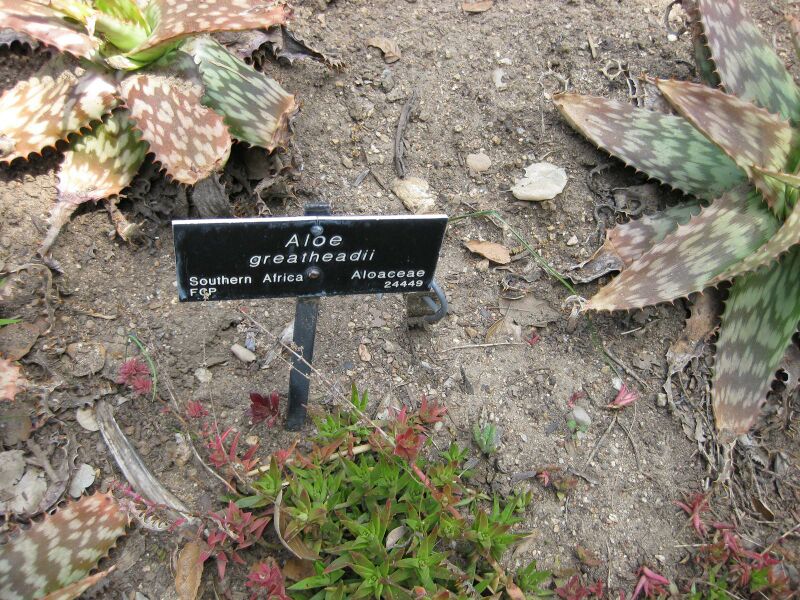 File:IMG 4342 hunt0904.jpg