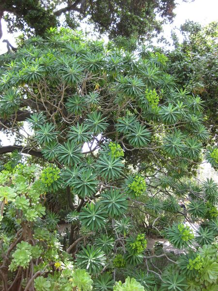 File:IMG 4345 hunt0904.jpg