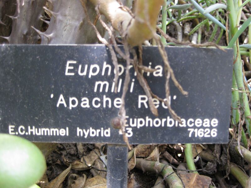 File:IMG 4350 hunt0904.jpg