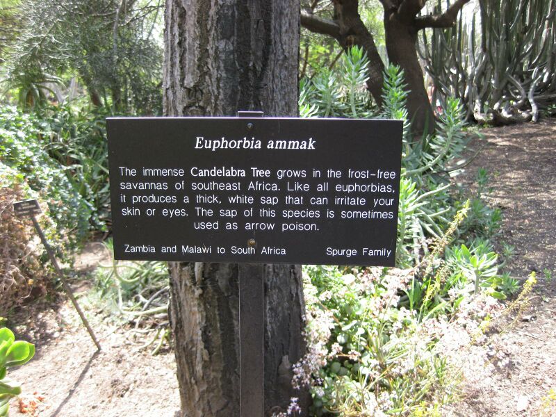 File:IMG 4356 hunt0904.jpg