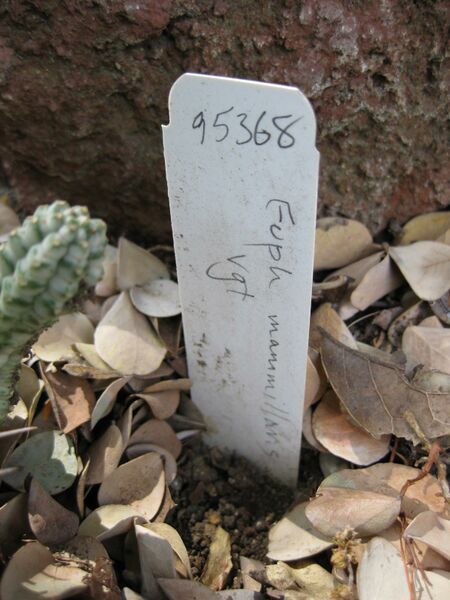 File:IMG 4358 hunt0904.jpg