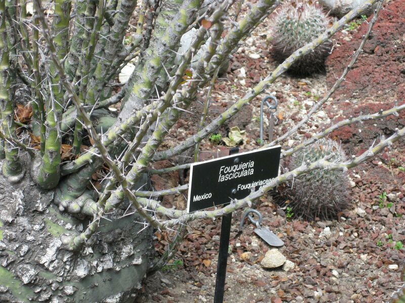 File:IMG 4365 hunt0904.jpg