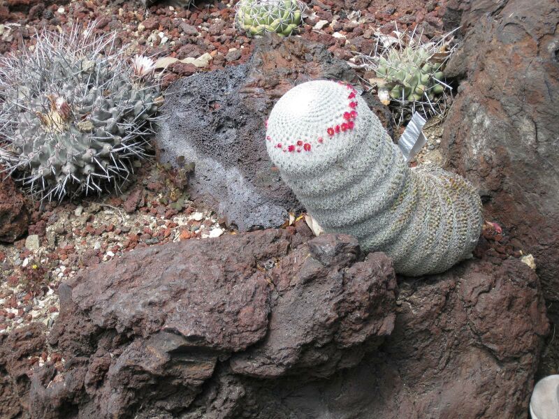 File:IMG 4366 hunt0904.jpg