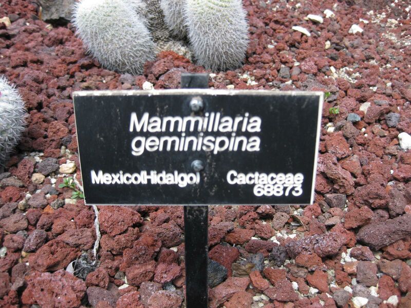 File:IMG 4369 hunt0904.jpg