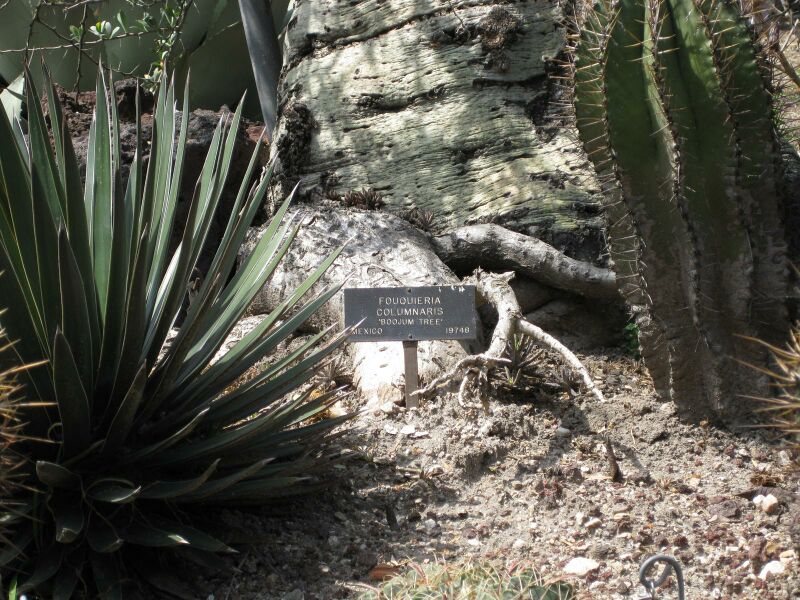 File:IMG 4372 hunt0904.jpg