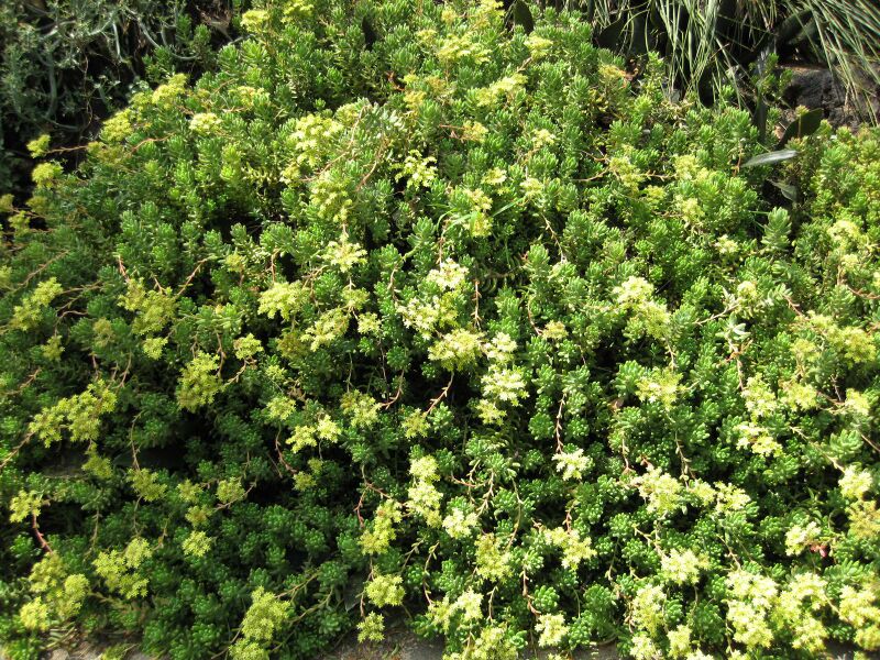 File:IMG 4374 hunt0904.jpg