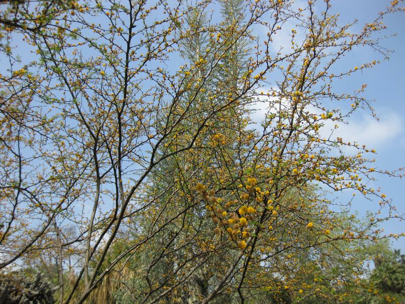 File:IMG 4376 hunt0904.jpg