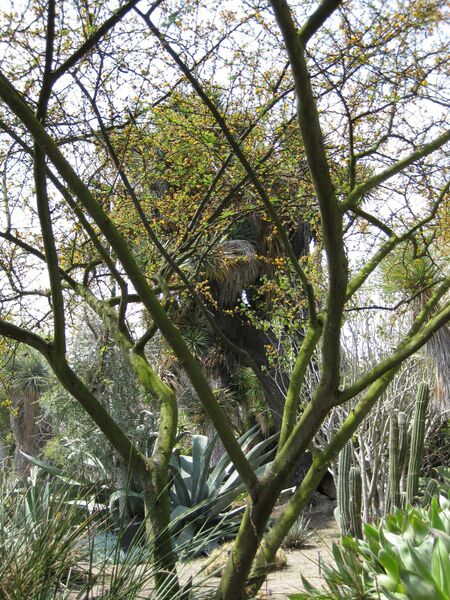 File:IMG 4379 hunt0904.jpg