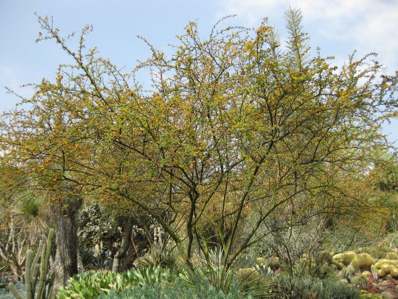 File:IMG 4381 hunt0904.jpg