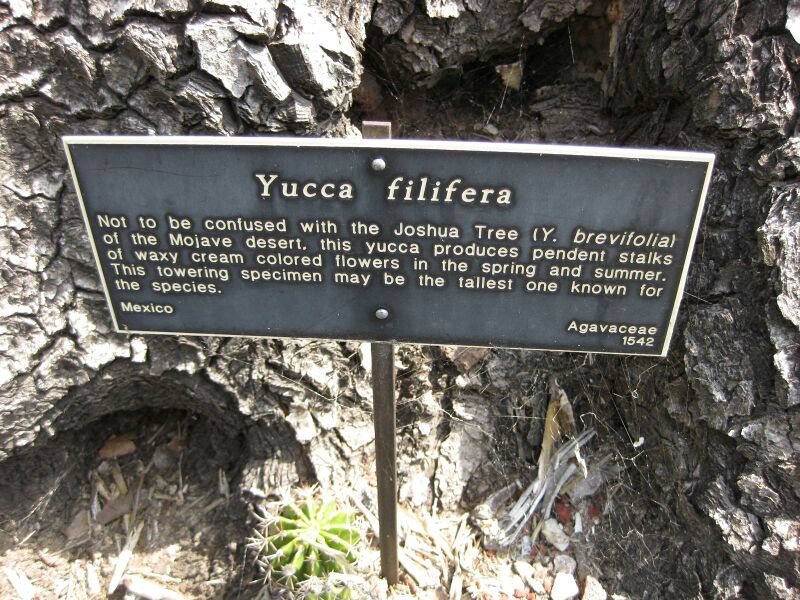 File:IMG 4382 hunt0904.jpg