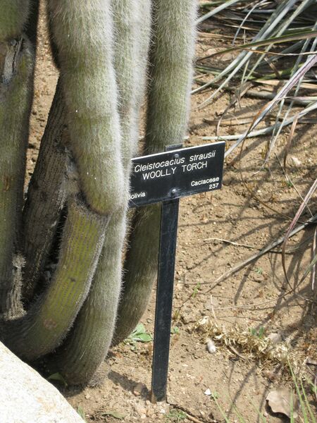 File:IMG 4394 hunt0904.jpg