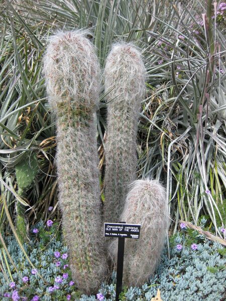 File:IMG 4399 hunt0904.jpg