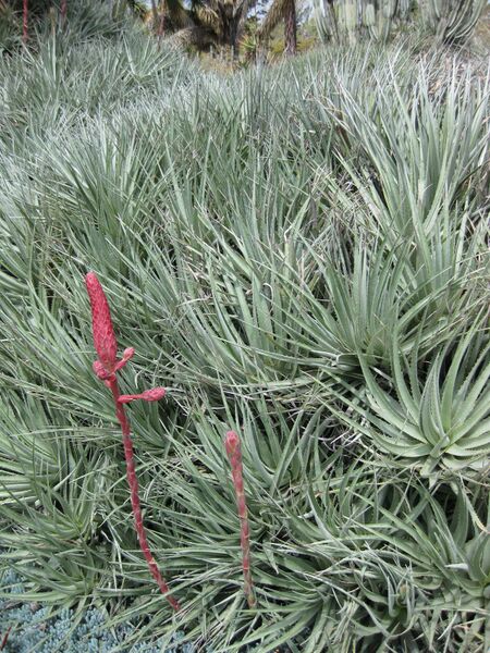 File:IMG 4400 hunt0904.jpg