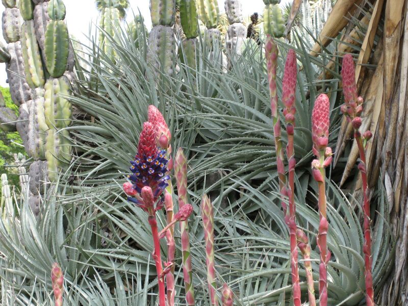 File:IMG 4401 hunt0904.jpg