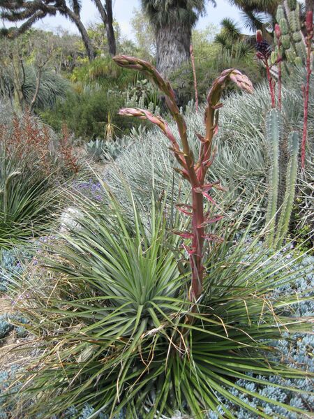 File:IMG 4402 hunt0904.jpg