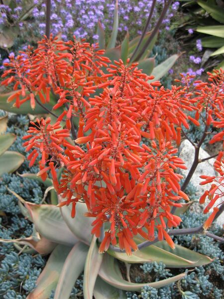 File:IMG 4404 hunt0904.jpg