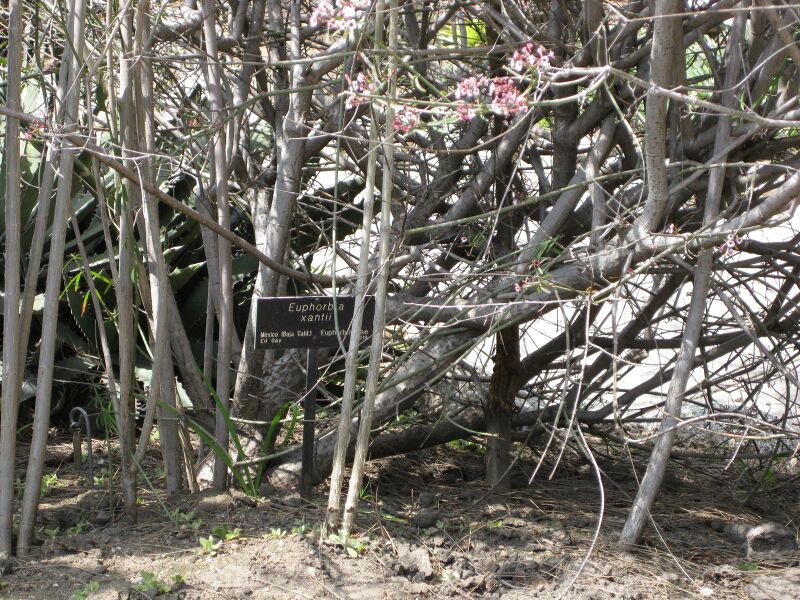 File:IMG 4408 hunt0904.jpg