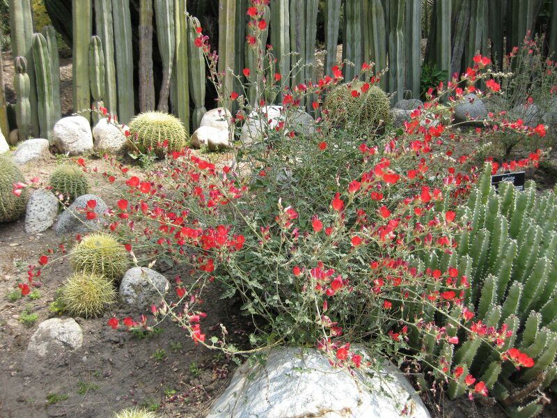 File:IMG 4409 hunt0904.jpg